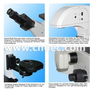 Infinity Objective Inverted Optical Microscope Phase Contrast Microscope Bright