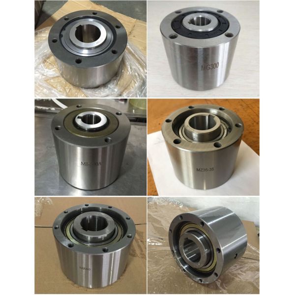 Mz Mi Mx Series One Way Bearing Freewheel Backstop Cam Clutch