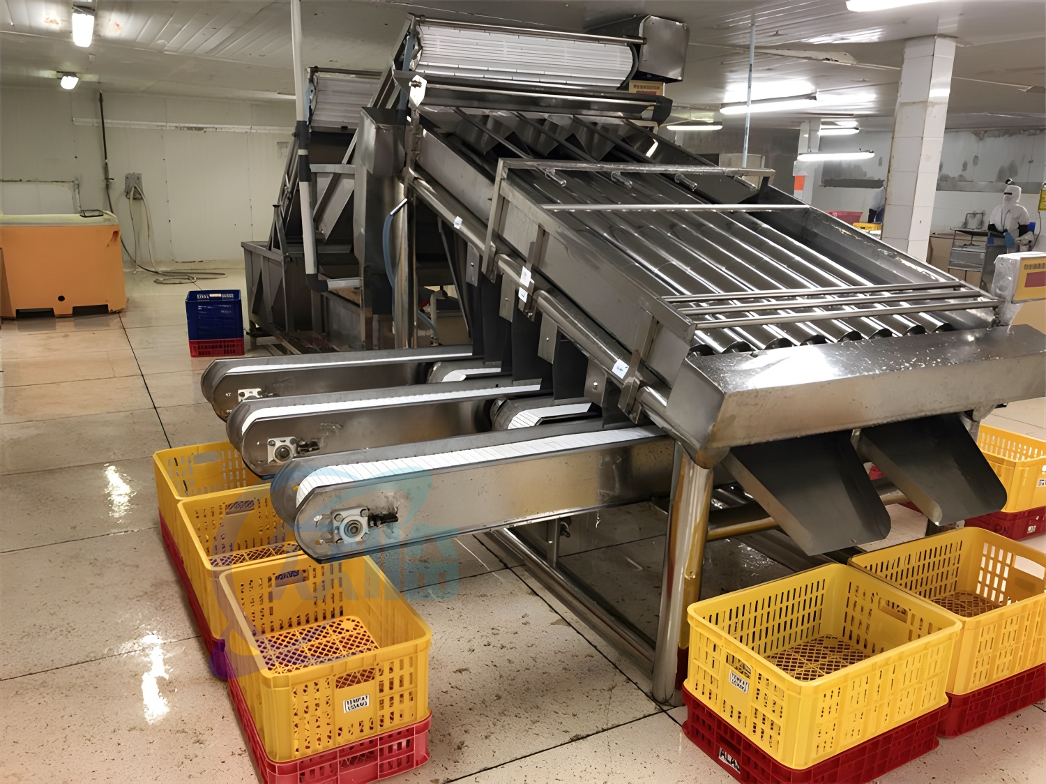 4.9kw Shrimp Processing Machine Prawn Roll Sorting Machine 1000kg-1200kg Capacity