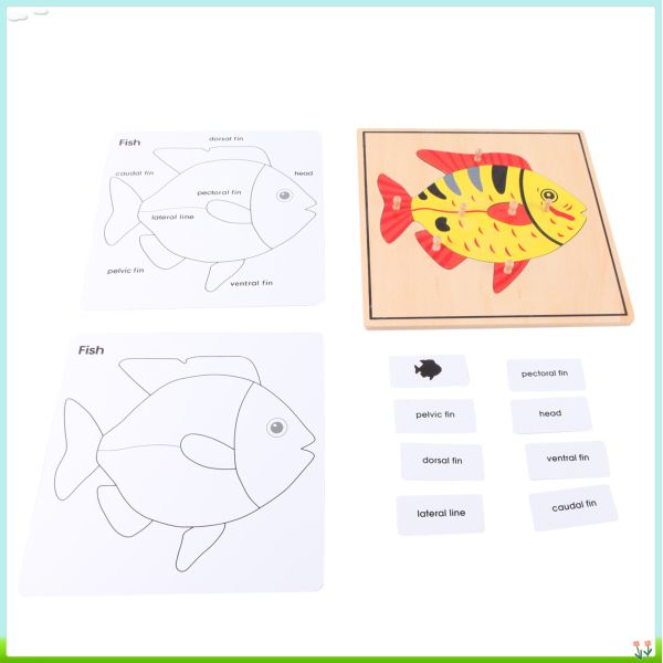 Fish Puzzle