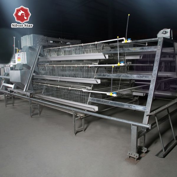 Full Automatic Battery Chicken Cage Hot Dip Galvanized Wire 3-4 Layers