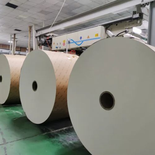 Heat Insulation Offset Printing PLA Coated Paper Roll Waterproof
