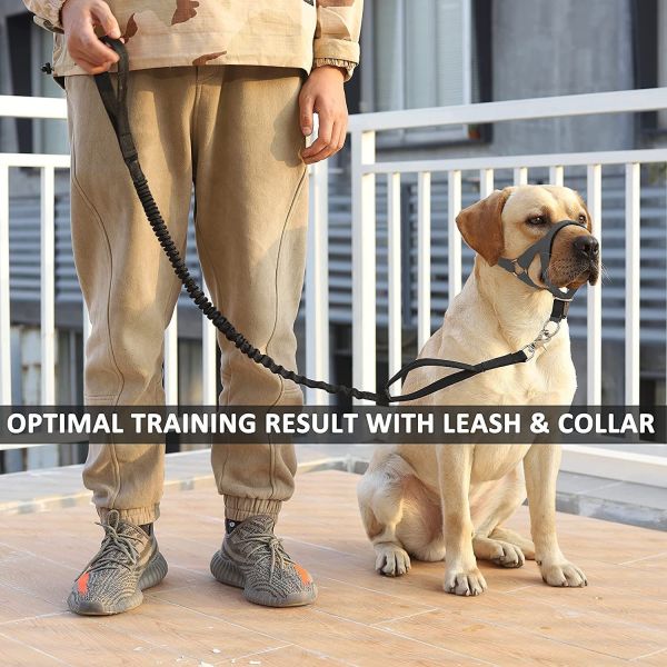 Dog Head Collar No Pull Training Tool For Dogs On Walks Includes Free Training Guide