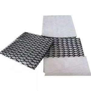 Geocomposite Drain 3D Composite Drainage Geonet with CE/ISO9001/ISO14001
