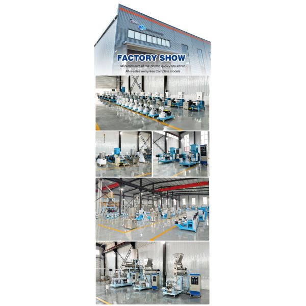 Industrial Floating Fish Feed Pellet Processing Making Machine Extruder Fish Feed Floating Machine