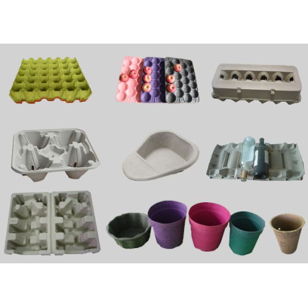 4000Pcs / H Energy Saving Paper Egg Tray Machine / Pulp Molding Equipment