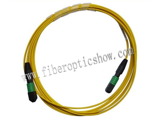 Singlemode Return Loss 12 Core MTP Fiber Optic Patch Cables Two Ends Connectors