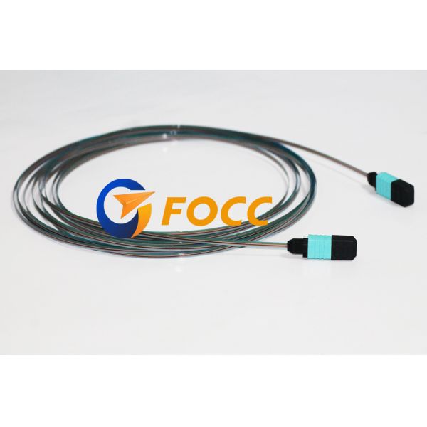 MPO MTP Hydra Cable / MTP/MPO Fiber Breakout Cable Direct Array MTRJ Terminator