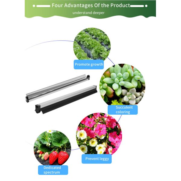 4FT Small Greenhouse Grow Lights