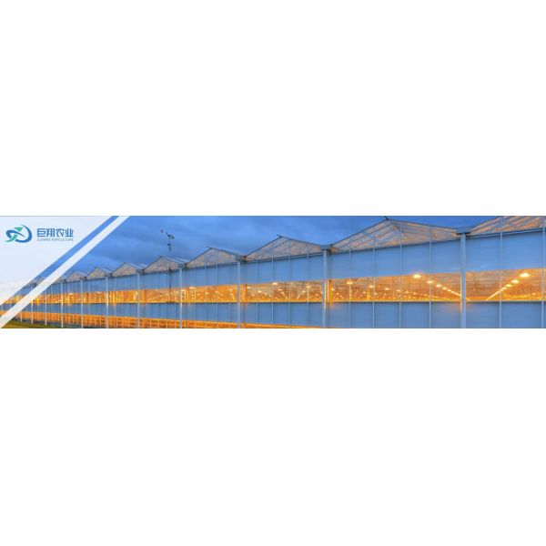 Greenhouse Hydroponic System for Large-Scale Farming