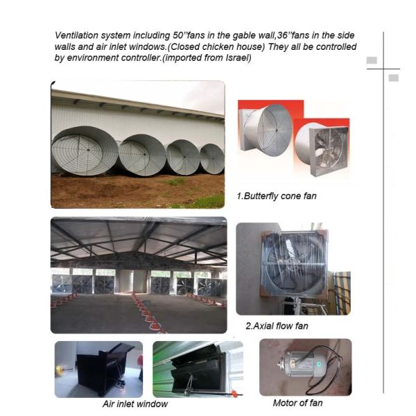 Complete Automatic Poultry Farm Equipment Broiler Chicken Cage T607 Controller