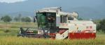 RL（4LZ-6.0P）102hp TRACK COMBINE HARVESTER crops rice grain tank combine
