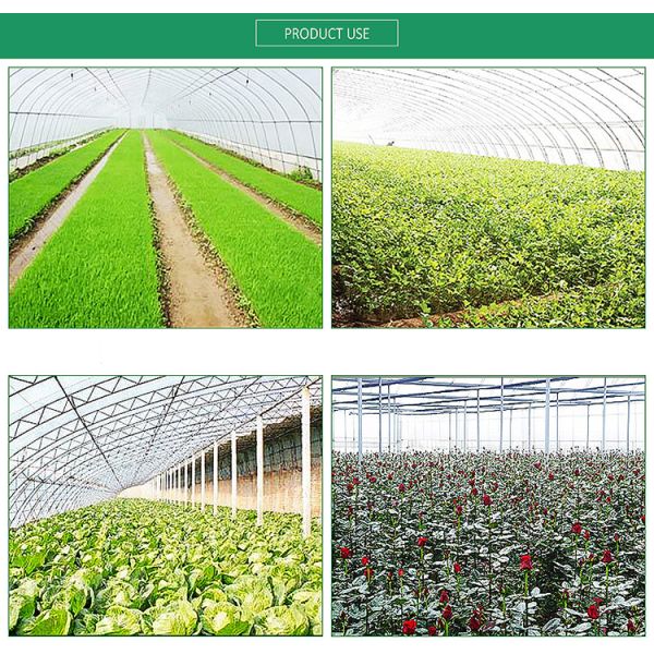 Good Quality Customized Farm Vegetable Protection Insect Mesh Insectproof Net