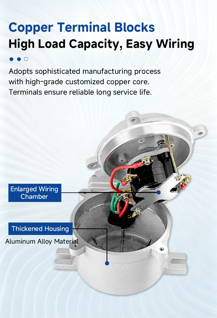 Dual Rated Ex Iic & Iiic 32A Explosion Proof Transfer Switch IP66 Splash Proof Controller for Gas & Dust Hazardous Zones