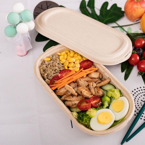 Buy 100% Biodegradable Compostable Pulp Packaging Box For Salad at wholesale prices