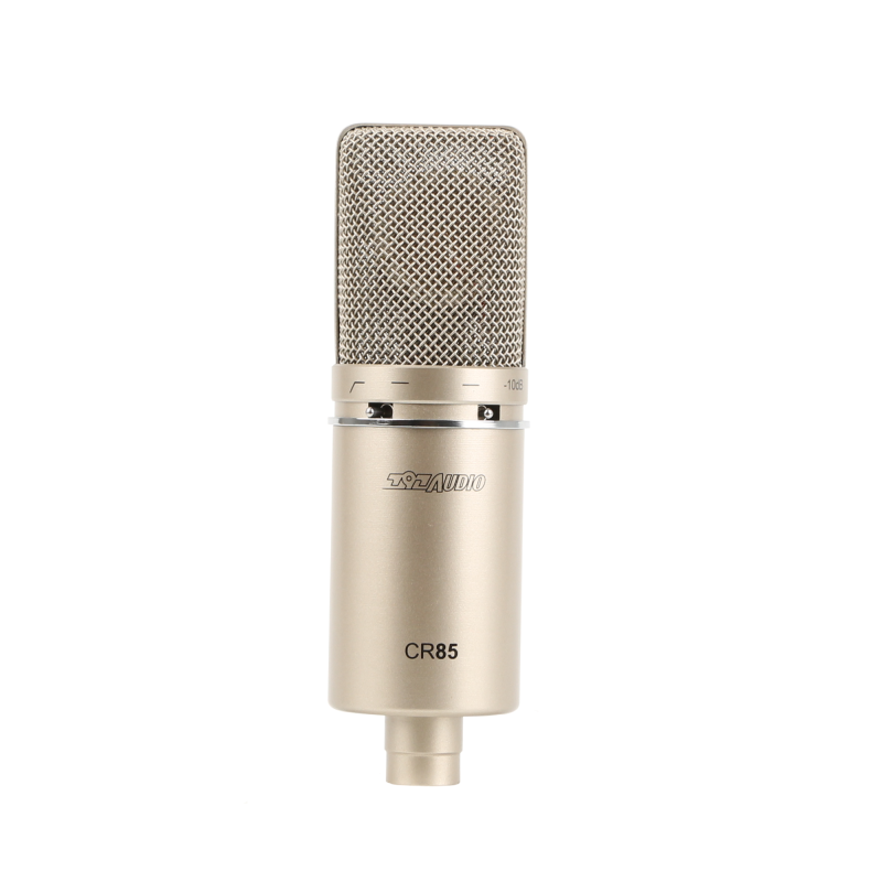 Stage Performance Wired Microphone with Audio Interface and Vibration Resistance