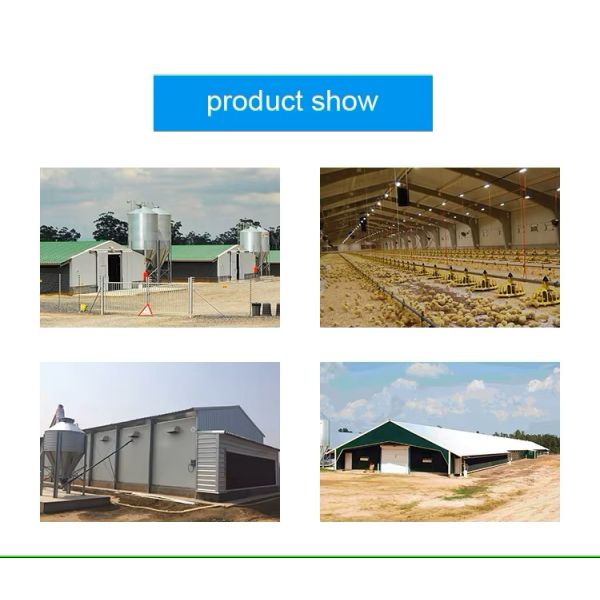 Complete Prefab House Solution Chicken Farming Industrial-Style Automatic Layer Broiler Poultry Cage System Steel for Warehouse