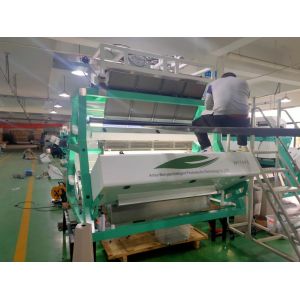 Wenyao CCD Tea Grading Machine For Black Tea Green Tea Color Sorting Machinery