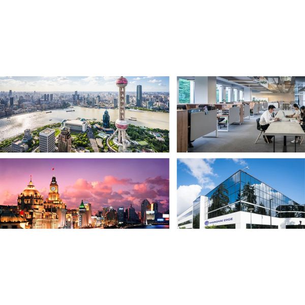 Shanghai Dige Engineering Machinery facility