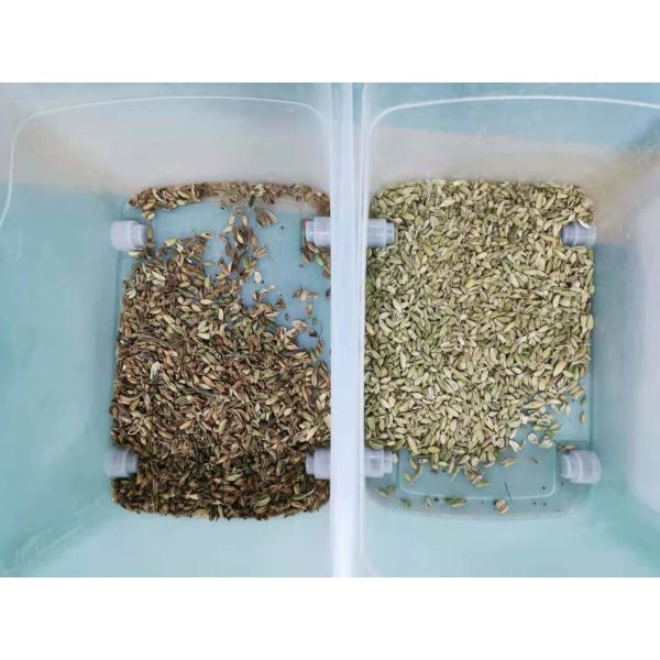 Intelligent Cardamom Separate CCD Color Sorter Automatic Computing