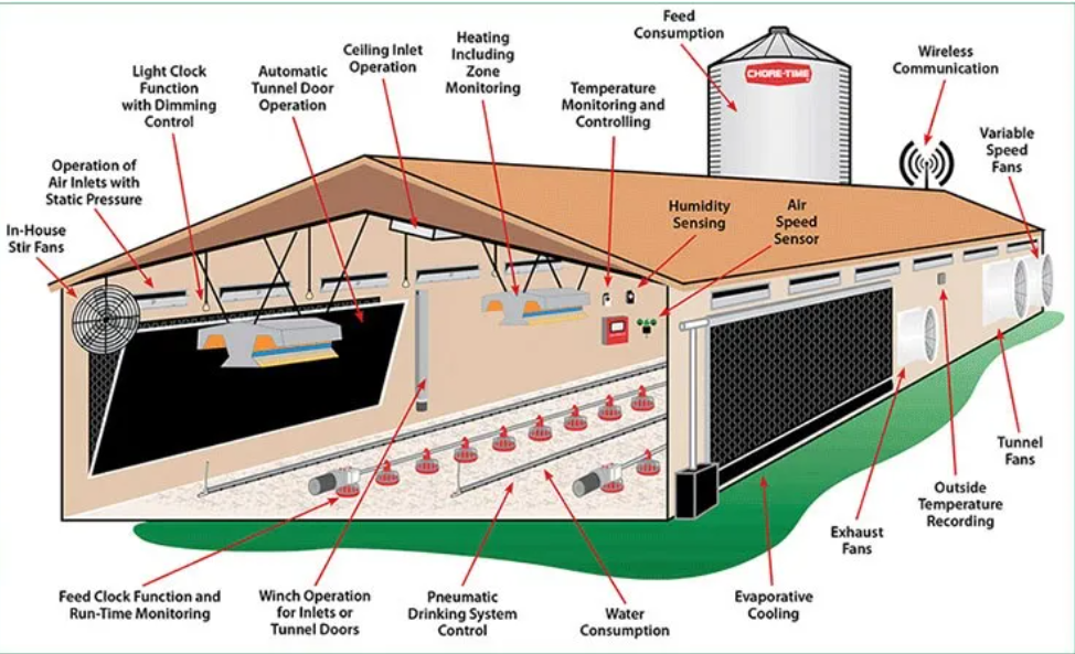 Quick Assembly Hot-Dip Galvanized Steel Poultry House with Customizable Layout