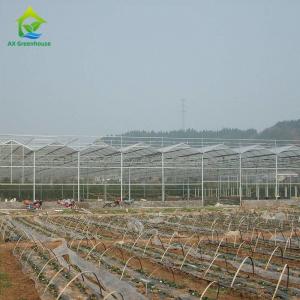 China OEM Flowers Polycarbonate Sheet Greenhouse Transparent Tropical Fruit Greenhouse on sale