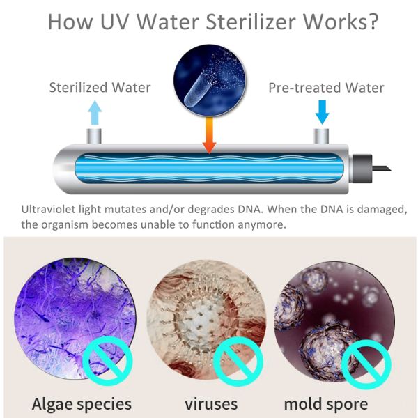 Stainless Steel Ultraviolet Water Filter for Drinking Water Treatment Equipment