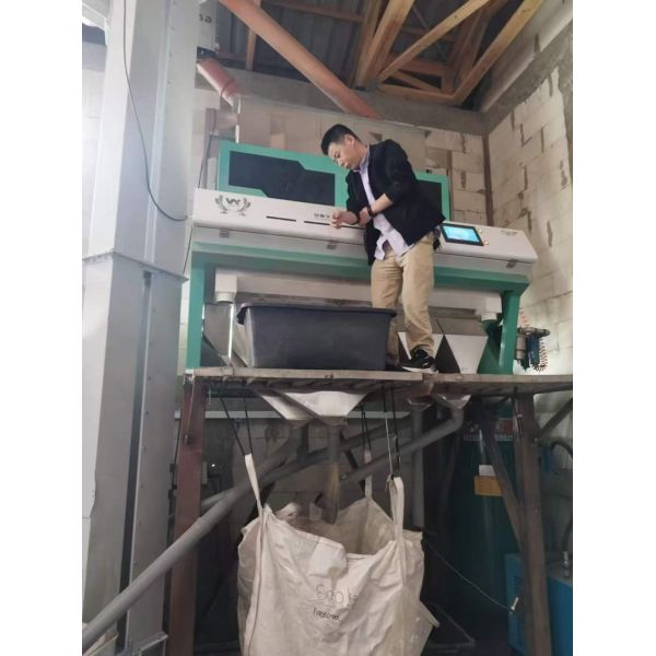 Wenyao Advanced Technology 2 chute Automatic Color Sorting Machine For Grain Wheat Color Sorter
