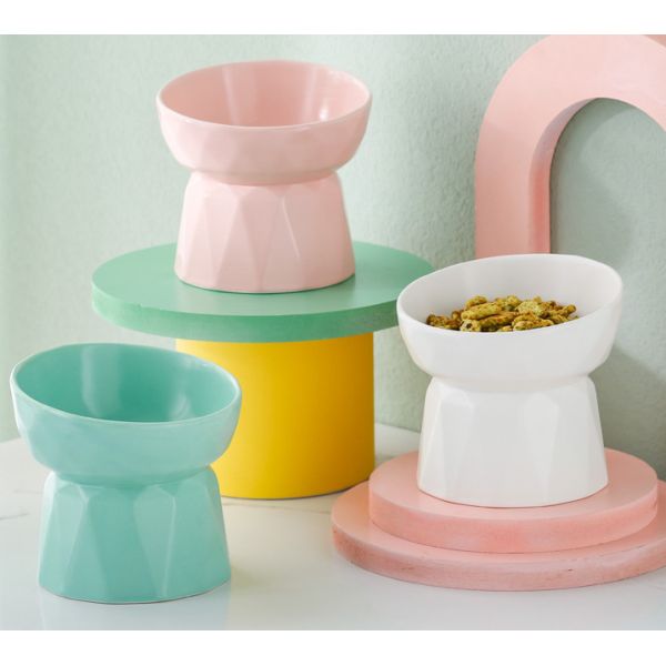 ABS Pet Feeder Elevated Cat Dishes For Food Water