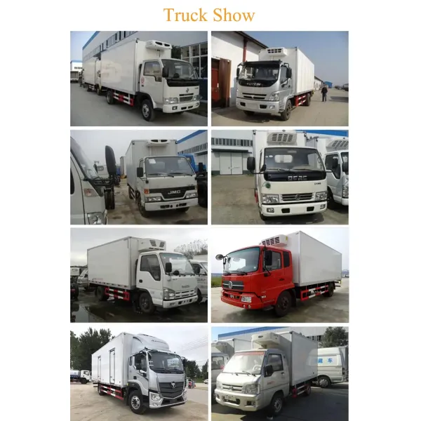China Truck 5 Tons Small Refrigerator Box Truck Light Freezer Refrigerated Truck
