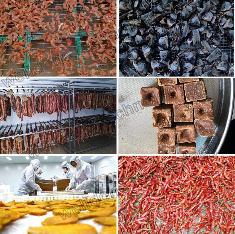 Mango Slices Tray Drying Oven Heat Pump Dryer Equipment