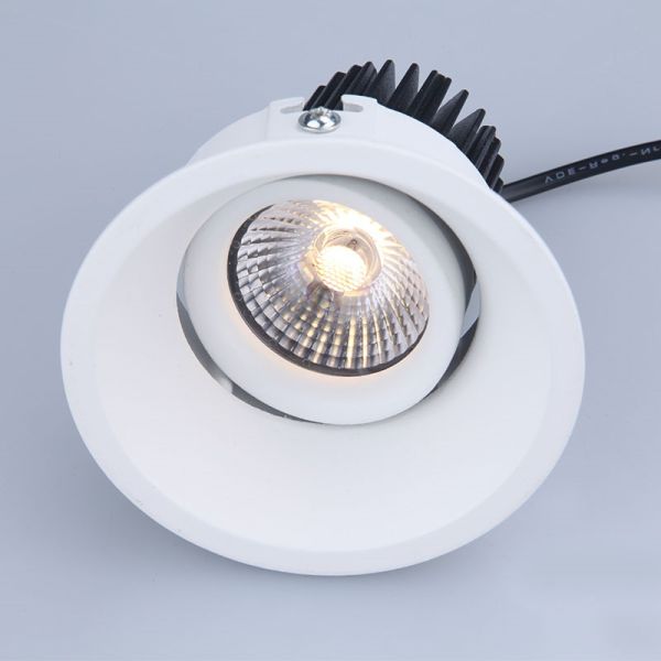 Tiltable Adjustable Recessed LED Downlight