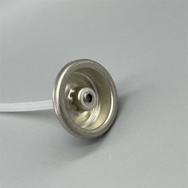 Close-up of female paint valve showing threaded connection