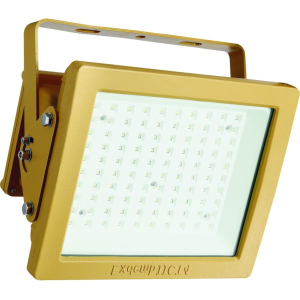 8000LM WF2 Custom New Explosion Proof LED Light Fixture High Wattage LED Flood Lights