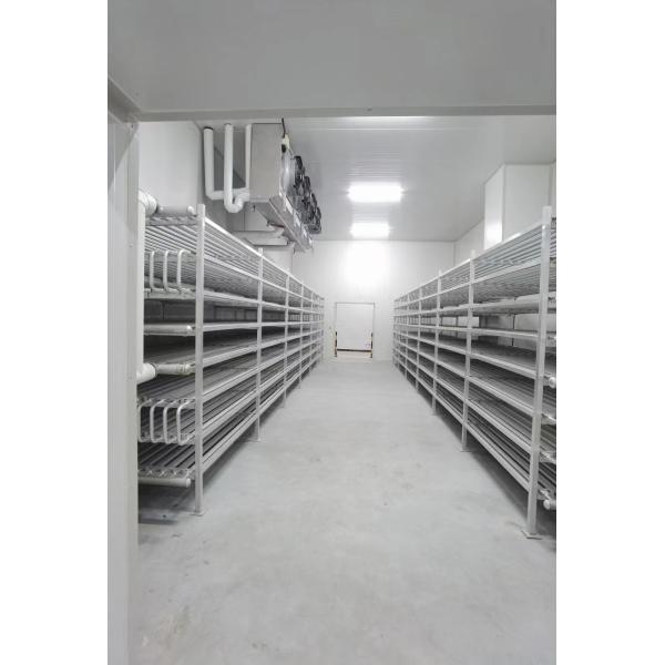 100mm 150mm 200mm Thermal Insulation Sandwich Panel For Cold Storage Wall / Ceiling