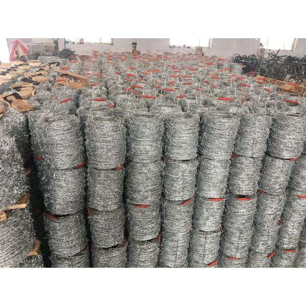 galvanized barbed wire