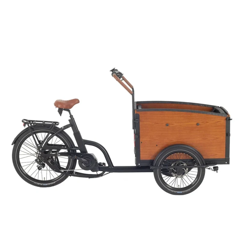 Customizable Electric Cargo Bike with Versatile Accessory Options