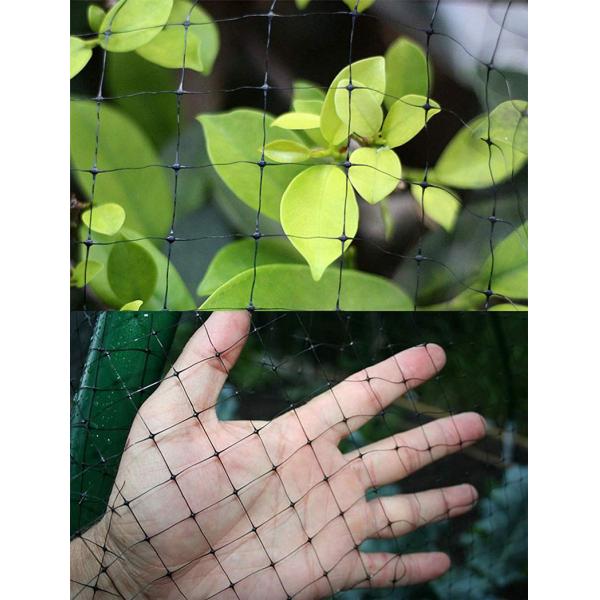 3/4'' Mesh Size Insect Mesh Netting Anti Bird Net Tough Deer Fence 2 Meter Width