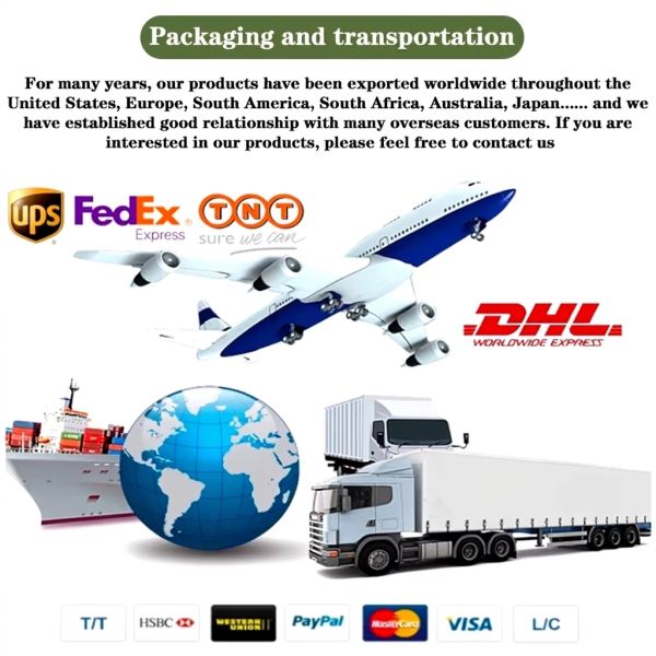 Biodegradable Packing List Envelope Compostable Paper Document Enclosed Self Adhesive Shipping Label Pouch
