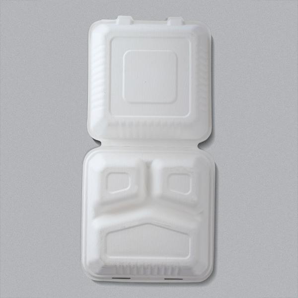 Convenient Food Container Compostable Disposable Tableware for Eco-Friendly Take Away