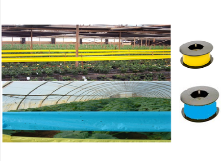 Double Side Pest Fruit Fly Roll Insect Glue Trap Machine For Yellow Sticky Trap Roll Type