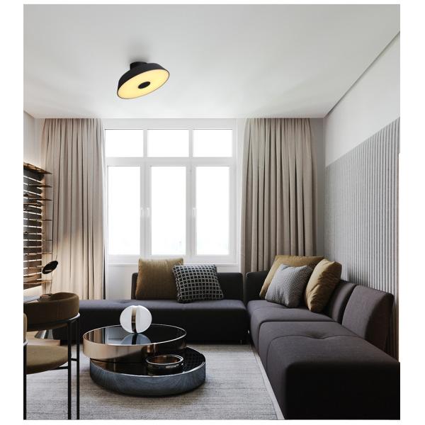 Nordic ceiling lights daily lighting Modern LED ceiling light surface mounted ceiling lamp(WH-MA-189)