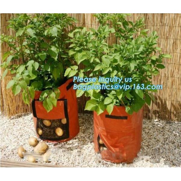 customized waterproof green pe car protector,environmental firendly, car boot liner, reusable, durable,economical,sample