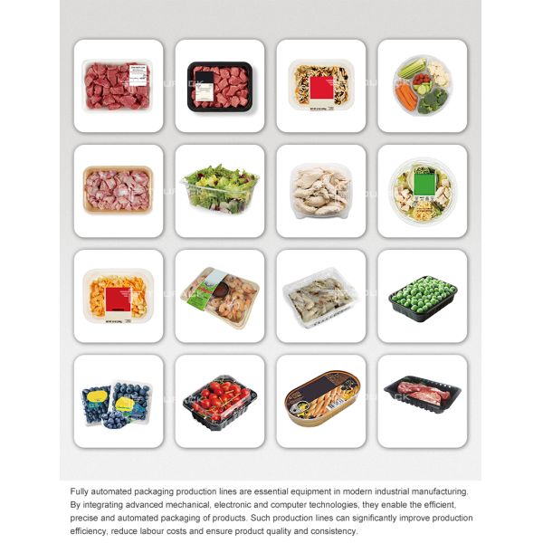 High-Speed Automatic Meat Tray Packing Line with Screw Feed Multihead Weigher for Sticky and Fresh Proteins
