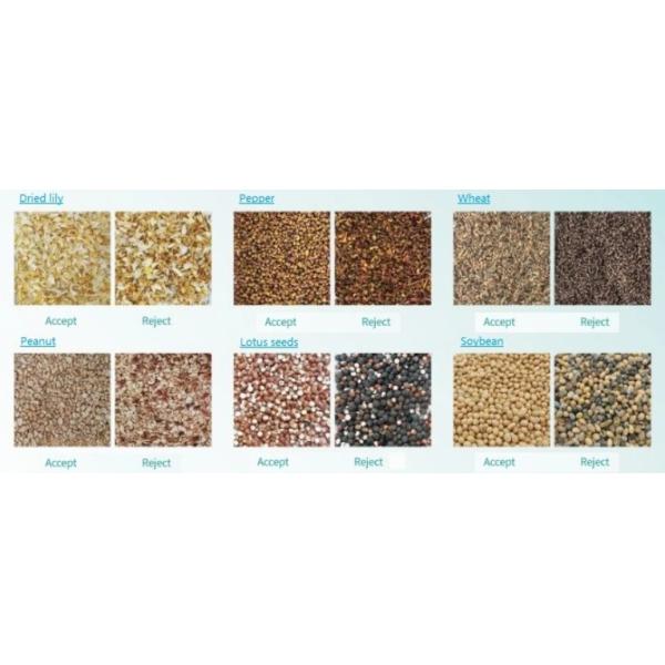 Multi-Functional Pine Nut Apricot Peanut / Groundnut Color Sorting Machine Color Separator