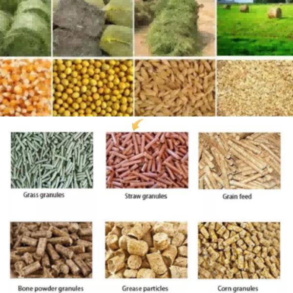 Horizontal Ring Die Pellet Machine Large Capacity Animal Pellet Making Machine