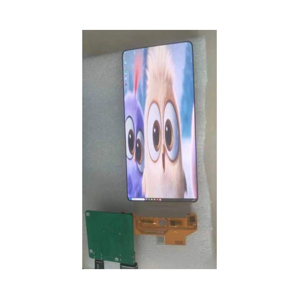 6.67 Inch Bendable Transparent Oled Display Module Amoled Touch Screen 2400x1080 FHD SJ067FHD1-000