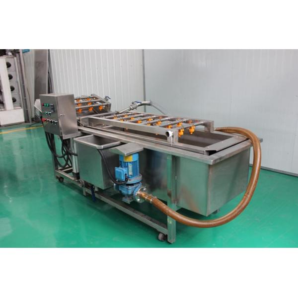 Full Automatic Bubble Food Cleaning Machine For Fruit And Vegetable Washing