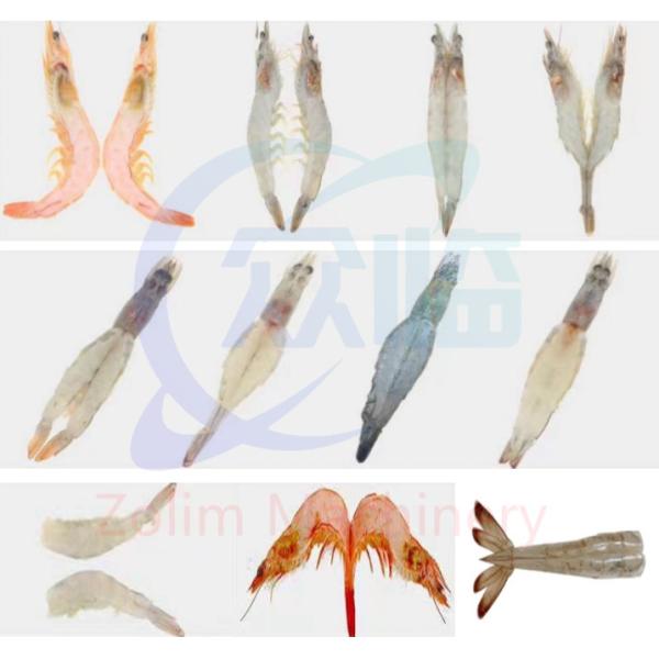 0.35KW Automatic Shrimp Cutter Multi Function Prawn Cutter And Remove Vein