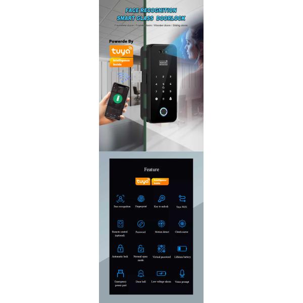 Smart Access Control Digital Door Lock Tuya Face Recognition Door Lock